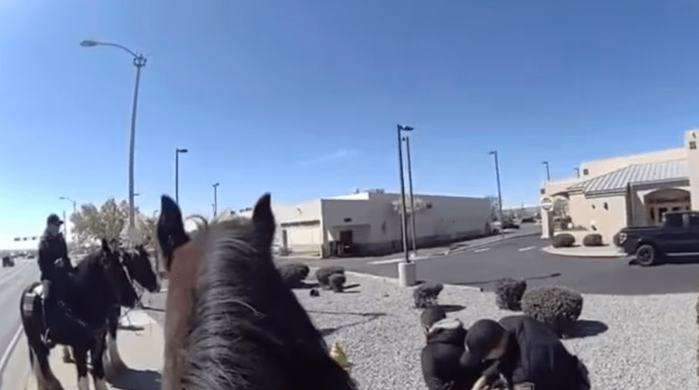 A Modern-Day Western: Albuquerque’s Horse-Mounted Police Nab Shoplifter in Dramatic Chase