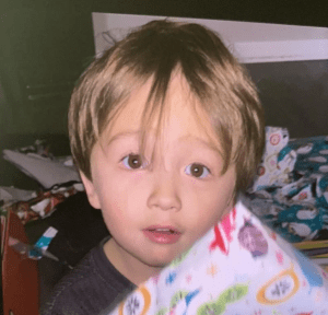 Missing 3-Year-Old: Volunteers Search Avery Salvage Yard